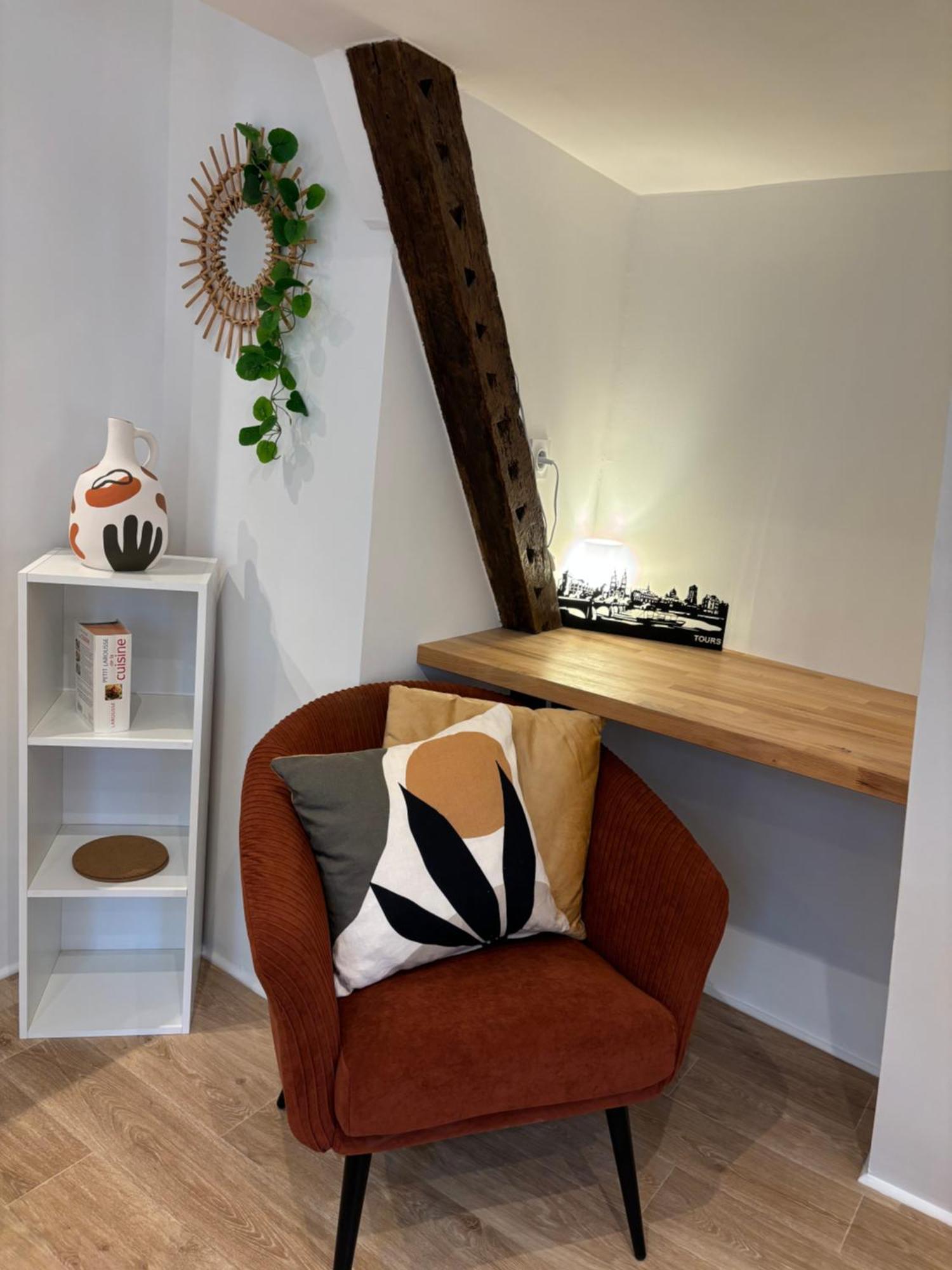 Chez Leo - Rue De La Scellerie Apartment Tours Luaran gambar